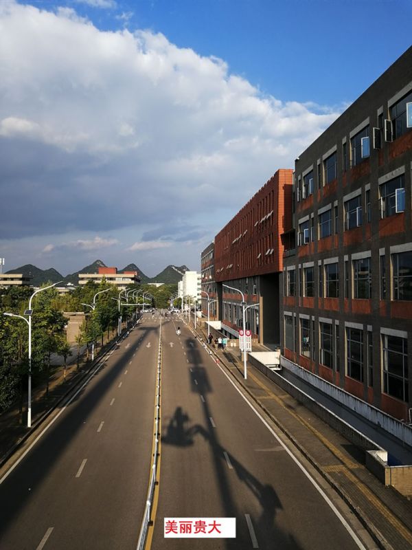 貴州某高校為本校區(qū)內(nèi)600多盞路燈更換LED燈頭及加裝太陽(yáng)能LORA調(diào)光控制模塊，達(dá)到了節(jié)能和智能控制的目的。